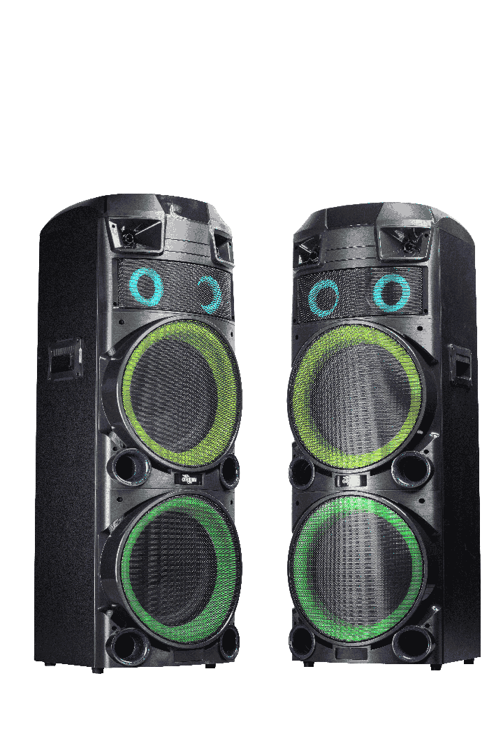 اسپیکر مدل GSD - D12100 گرین GREEN